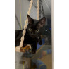 Cat Hammock